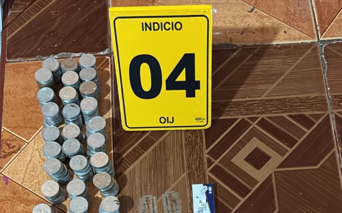 Evidencia decomisada por los agentes judiciales. (OIJ)