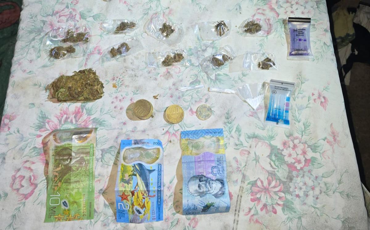 Evidencia decomisada por los agentes judiciales. (OIJ)