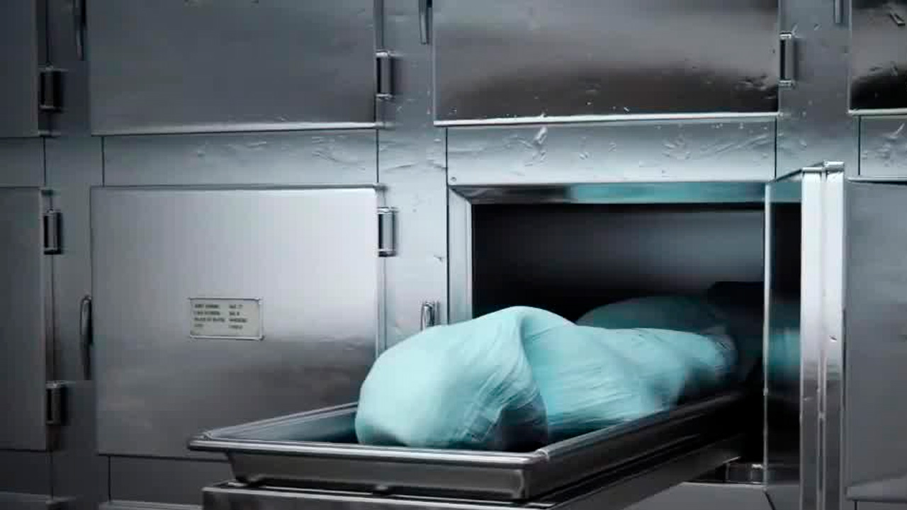 Medicina forense: ¿Cómo es ejercer esta profesión?