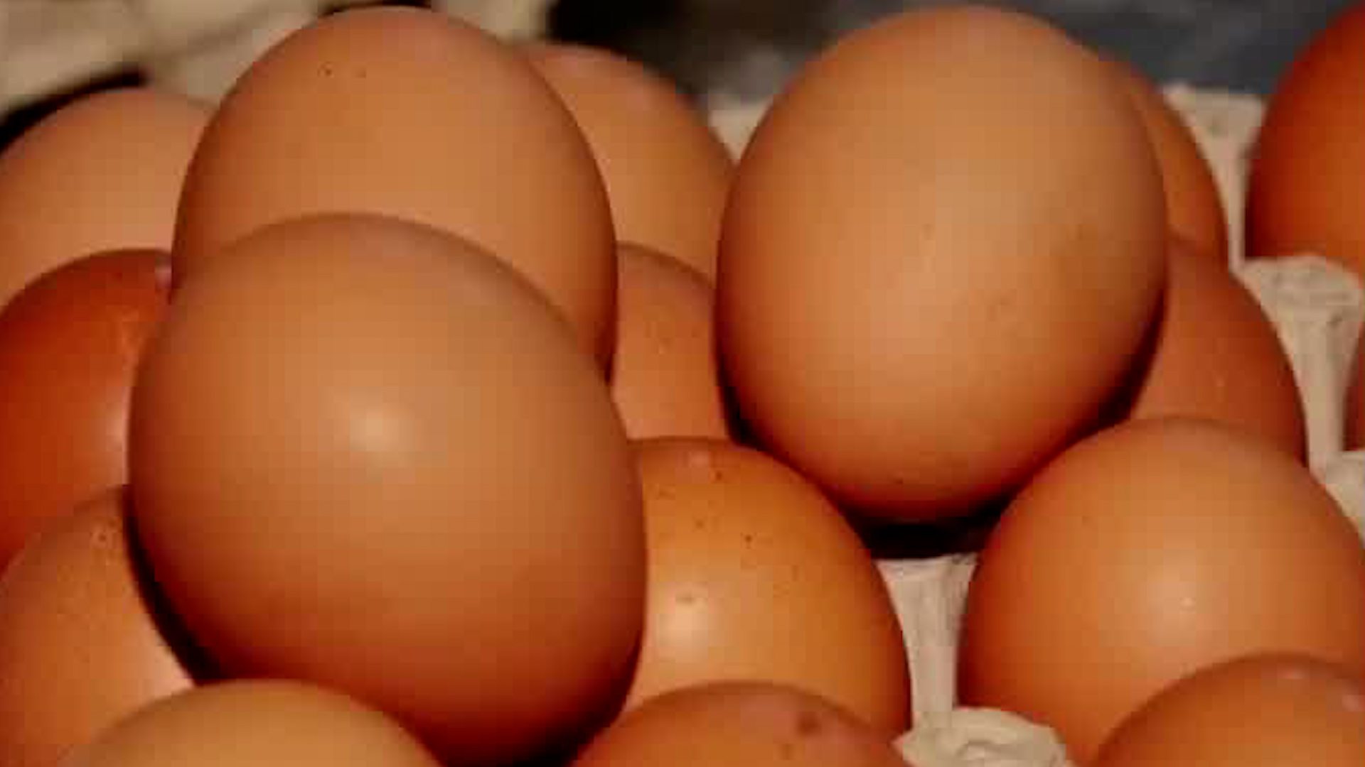 Baja el precio de los huevos