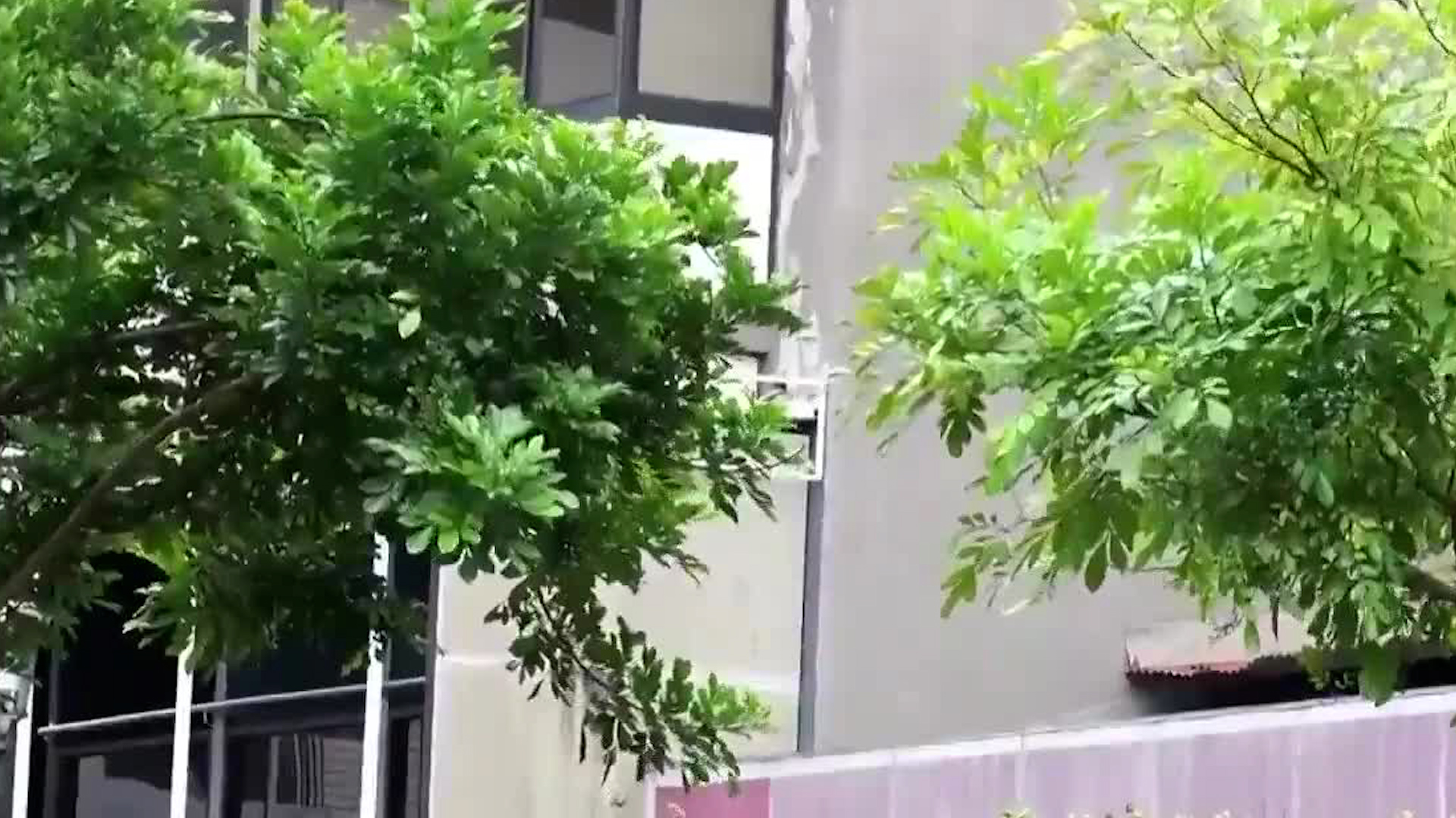 Frío inusual golpea a Costa Rica