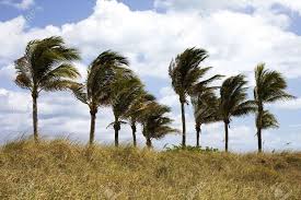 IMN alerta por ráfagas de viento muy fuertes en varias zonas de Costa Rica