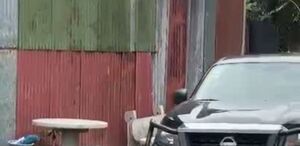 De momento no hay personas detenidas. (Telediario)