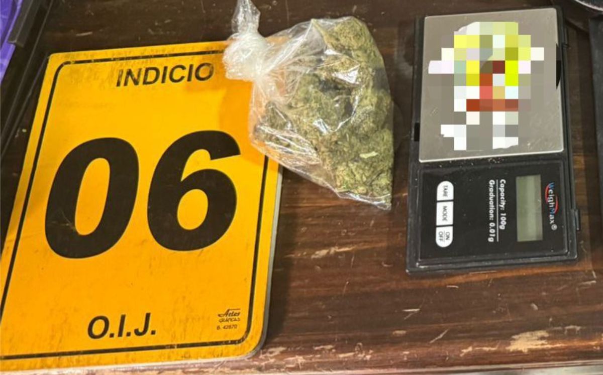 Evidencia decomisada por los agentes judiciales. (OIJ)