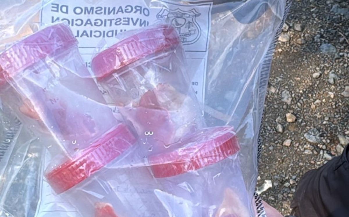 Decomiso por las autoridades.