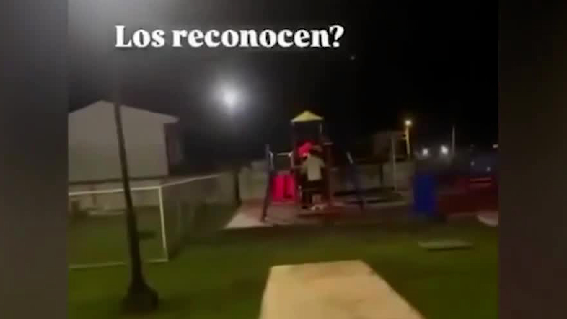 Grupo de personas usan juego adaptado para personas con discapacidad