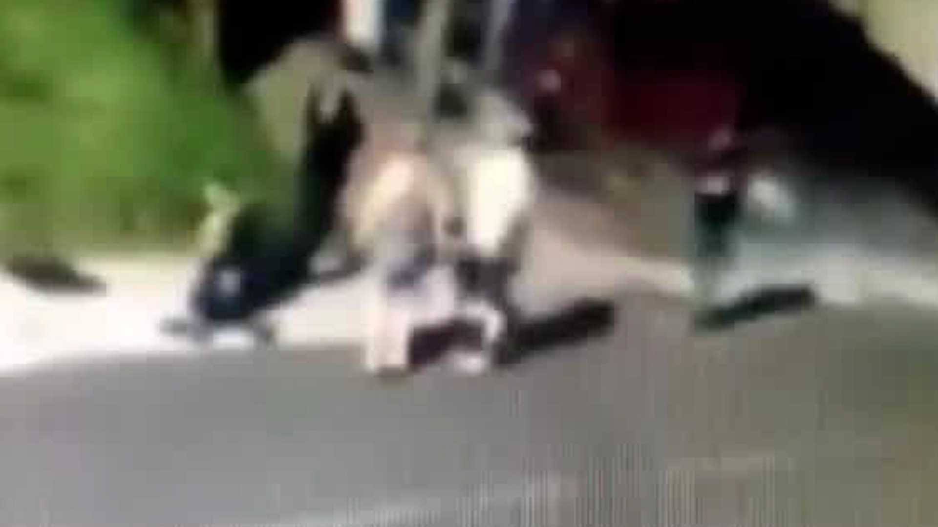 Hombres son atacados con arma blanca en Alajuela | VIDEO