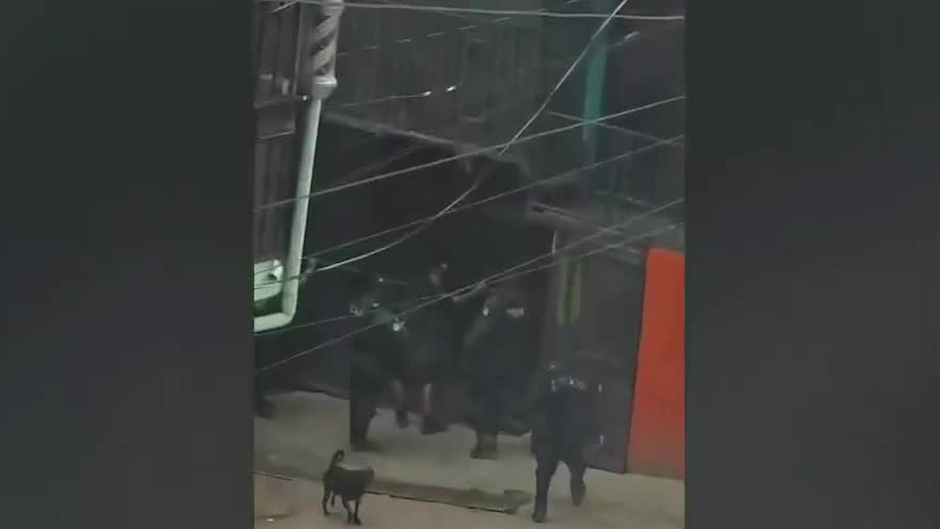 Requisa terminó en aparente abuso de autoridad | VIDEO