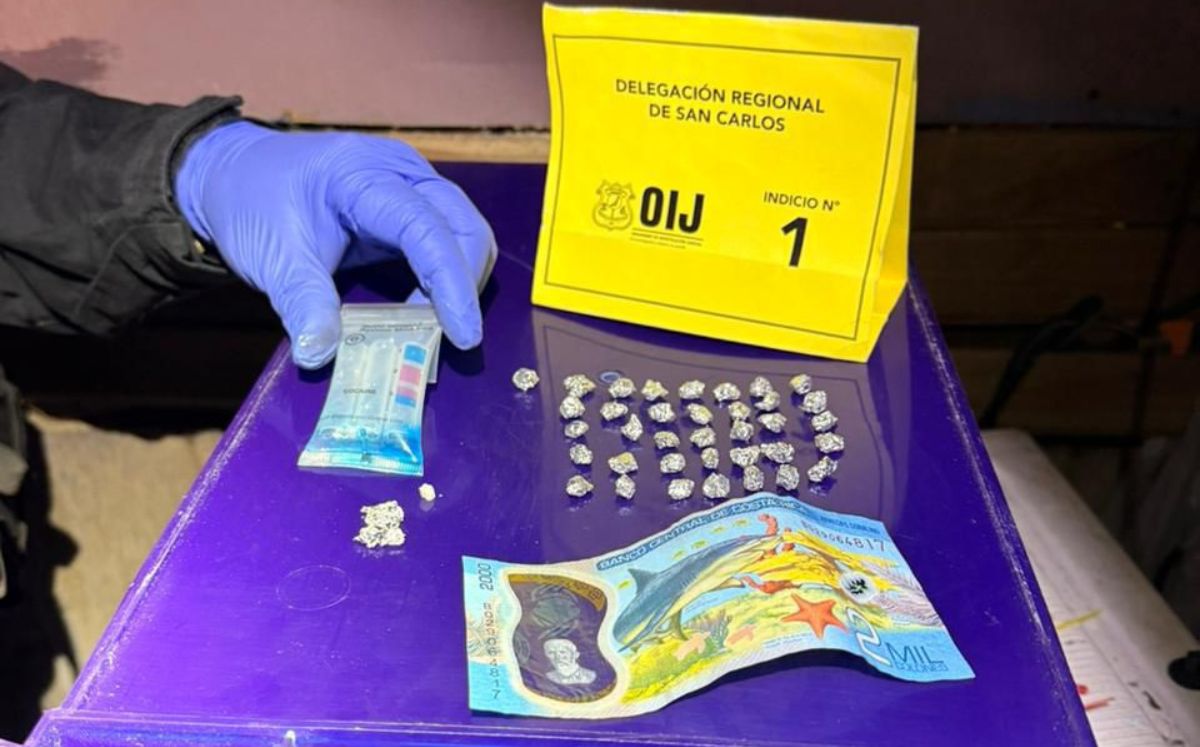 Decomisos realizados por los agentes judiciales. (OIJ)