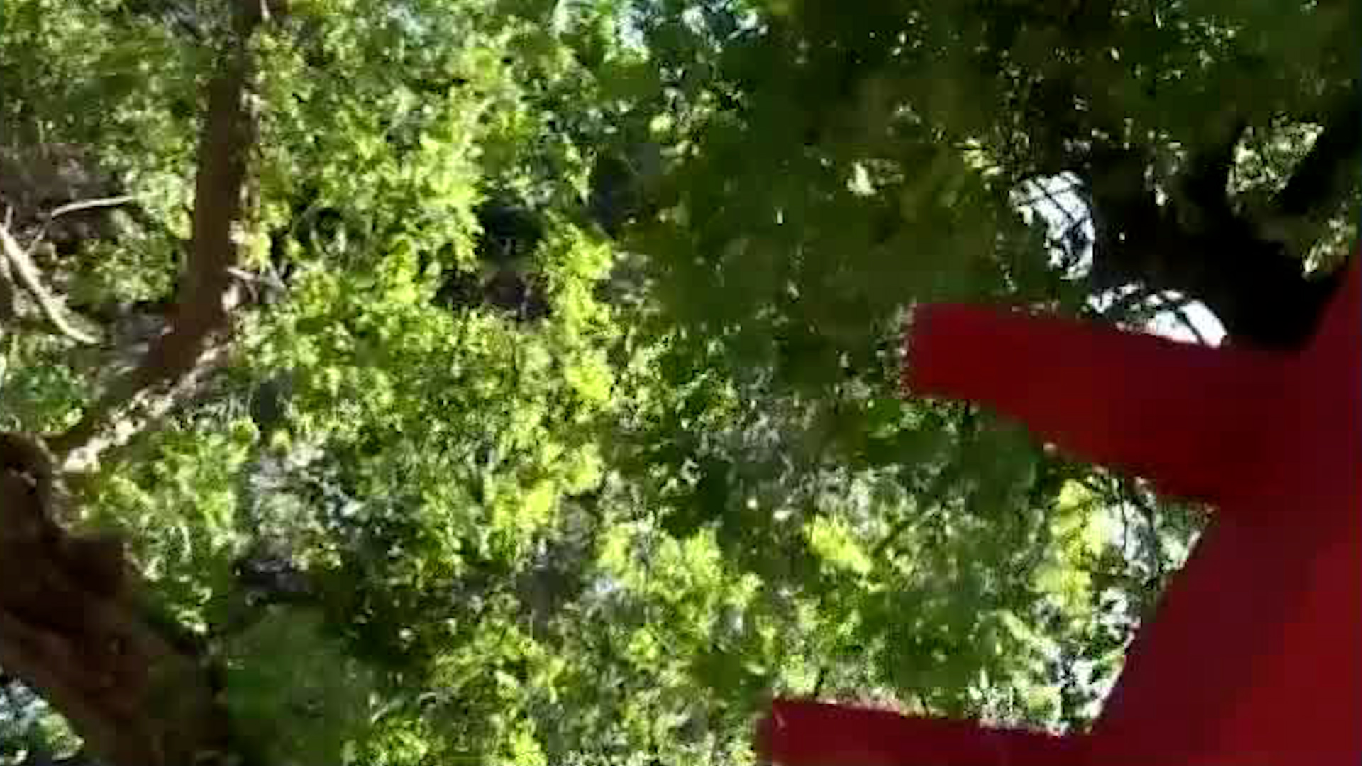 Vientos afectan varias zonas del país | VIDEO