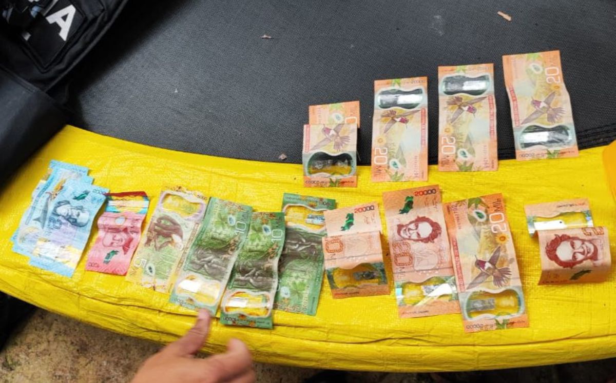 Evidencia decomisada por los agentes judiciales. (OIJ)