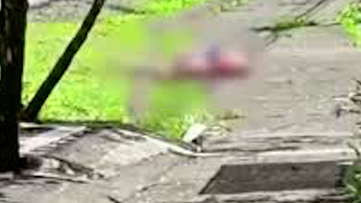 ¿Los centros educativos podrán ser nuevamente espacios seguros?