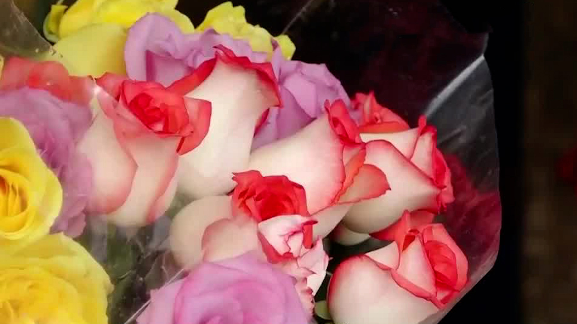 14 de febrero: Los girasoles y tulipanes entre los más buscados