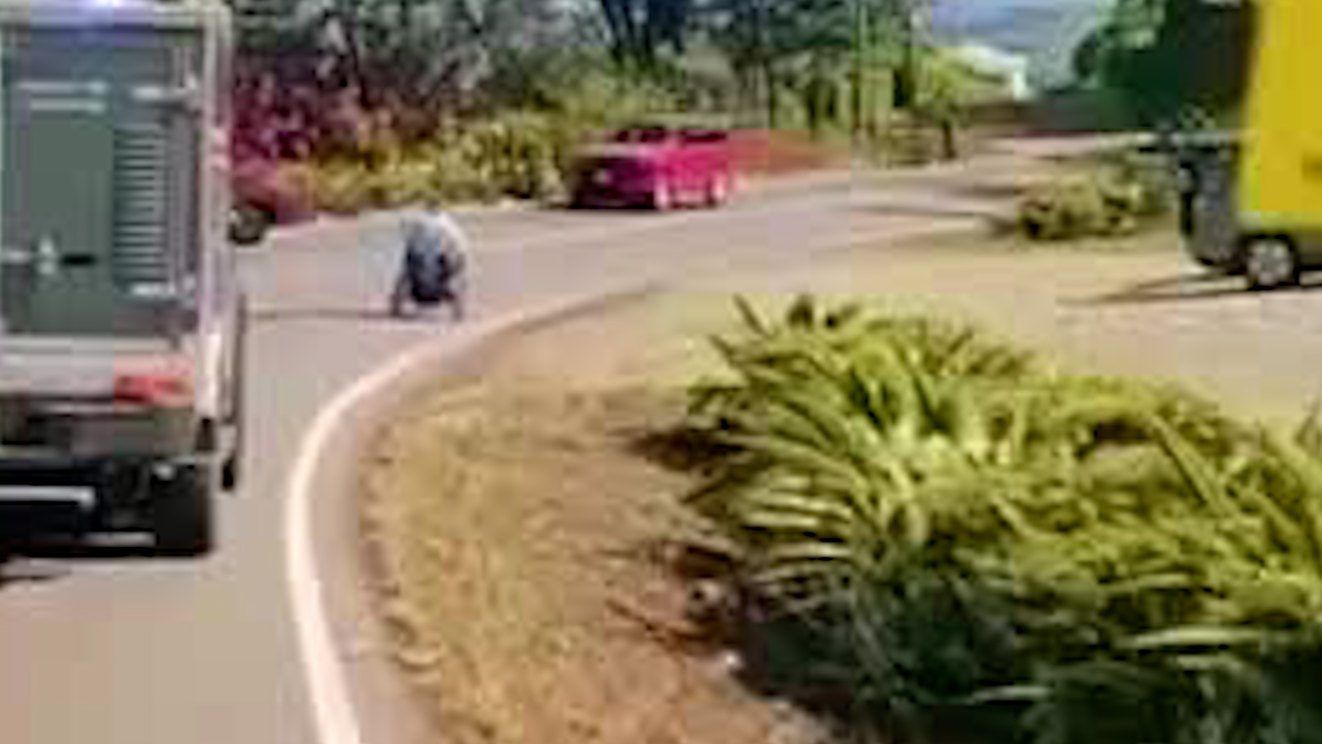 Hombre en silla de ruedas viaja por el Cerro de la Muerte | VIDEO