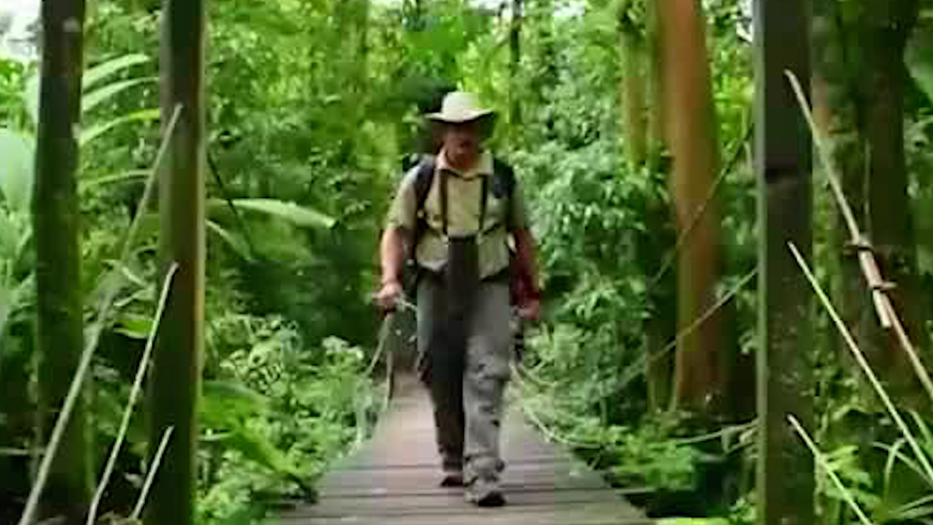 Proyecto de ley pretende multas por ingreso ilegal a Parques Nacionales