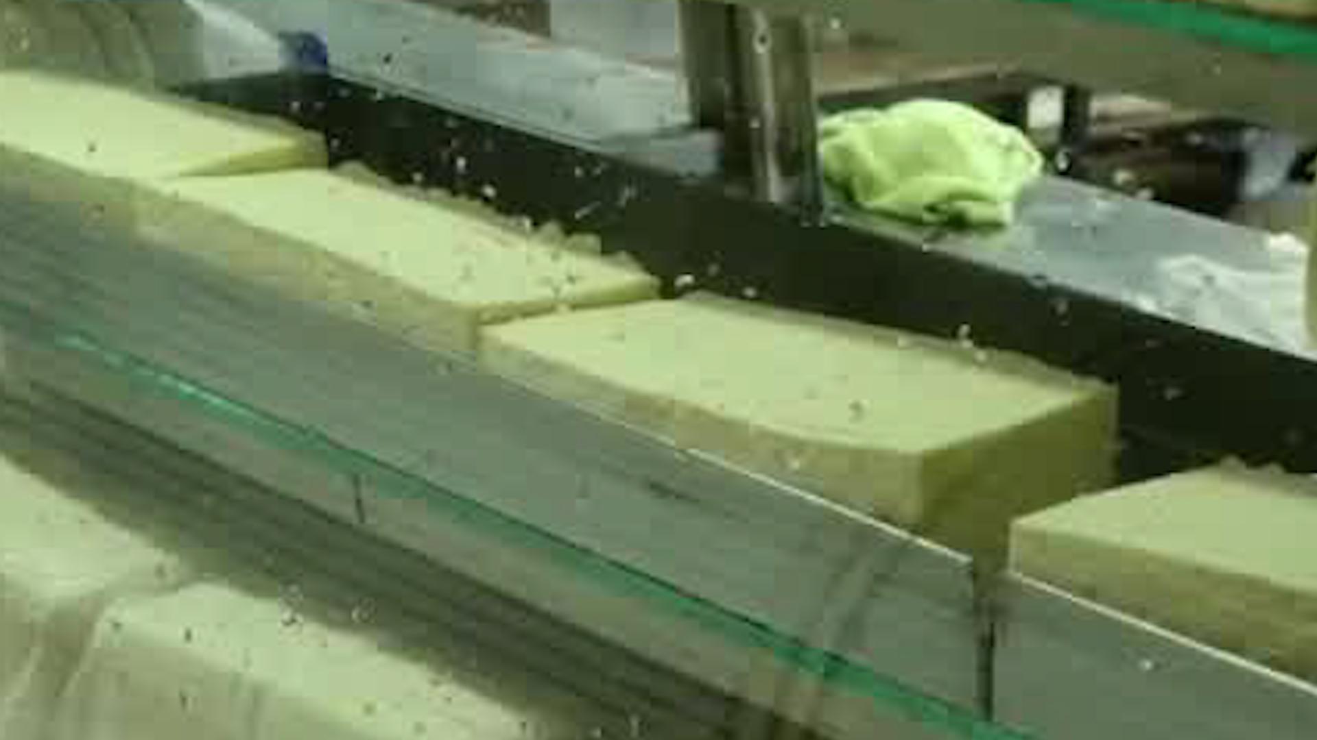 Alertas por bacterias en queso | VIDEO