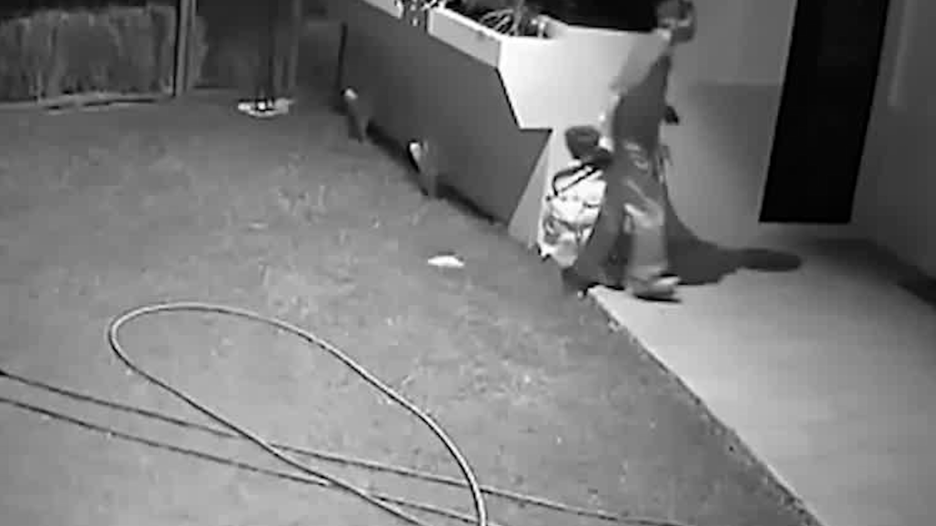 Banda armada amordaza a familia en Río Cuarto | VIDEO