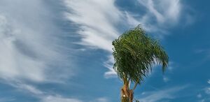 Disminución de vientos alisios marcaría condiciones más estables este domingo. (Freepik)