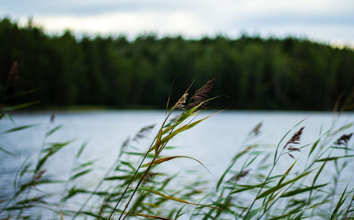 La semana inicia con vientos débiles a moderados y condiciones mayormente estables. (Freepik)