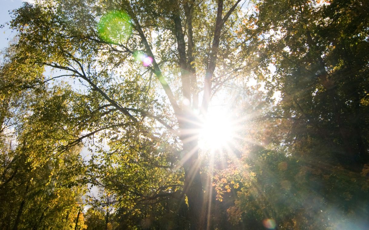 La masa de aire seco mantendrá condiciones estables, pero aumentarán los vientos este martes. (Freepik)