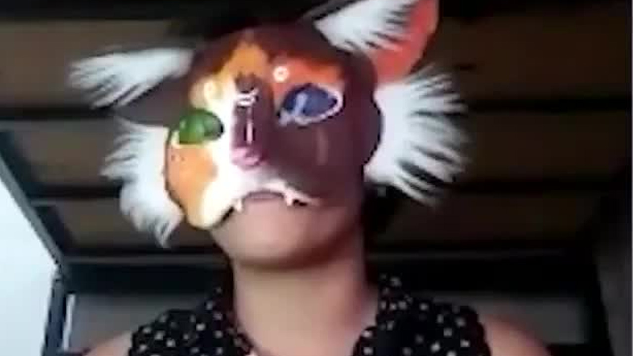 Therian, el fenómeno que divide opiniones