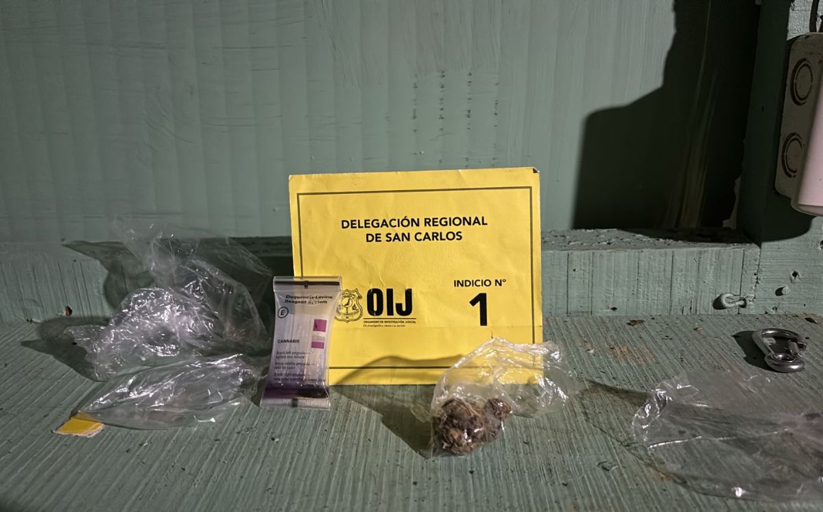 Evidencia decomisada por los agentes judiciales. (OIJ)