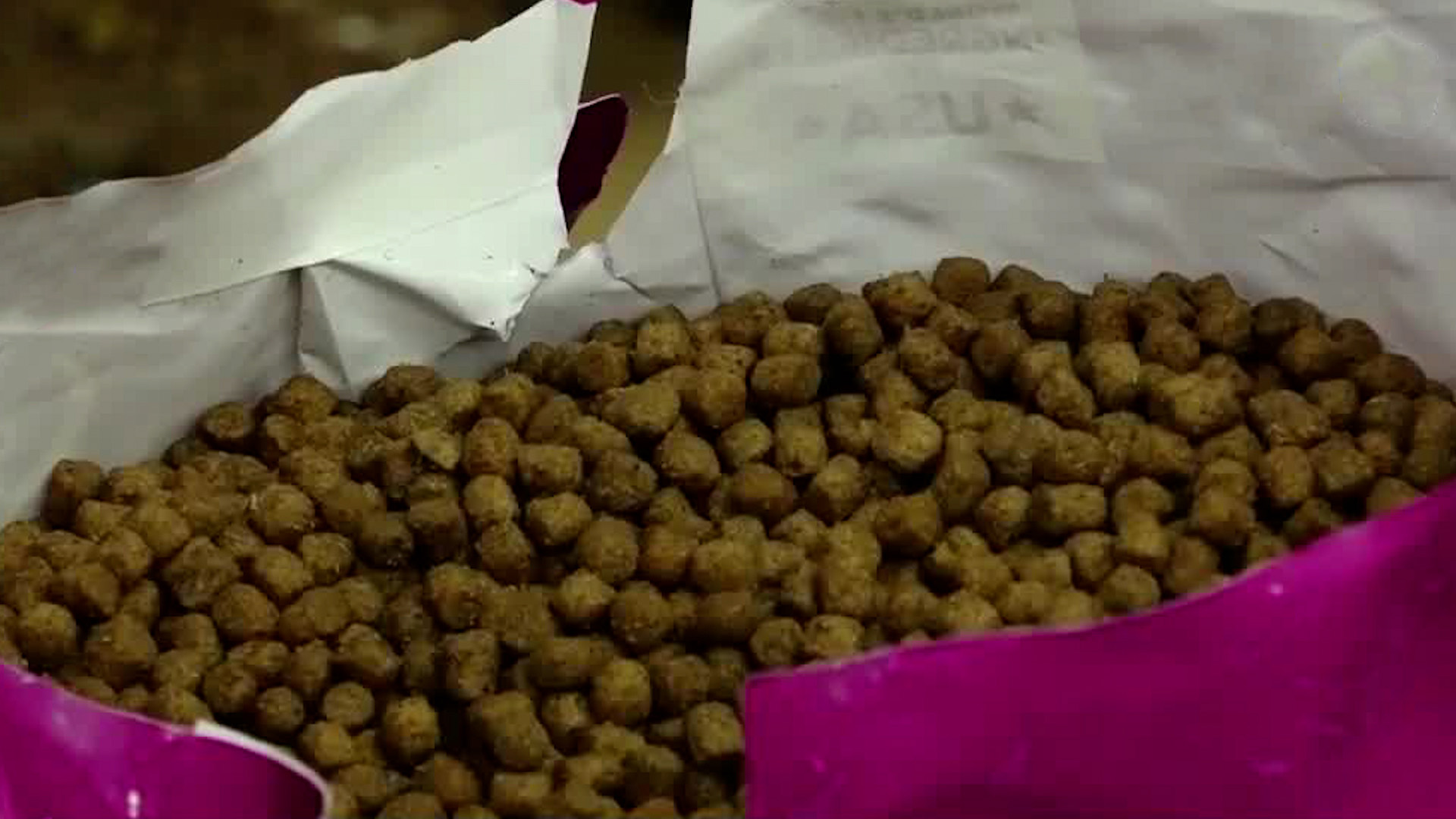 ¡Cuidado con el alimento que venden por kilo!