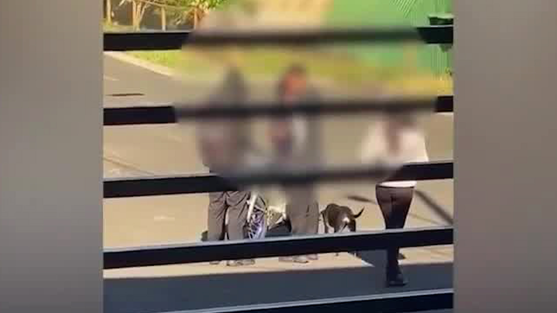 Denuncian delitos cerca de Liceo Virgen de la Medalla Milagrosa