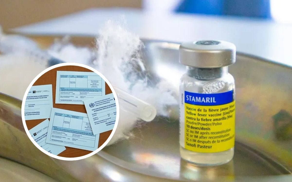 Hay dos formas de solicitar el certificado de vacunación, ambas digitales.