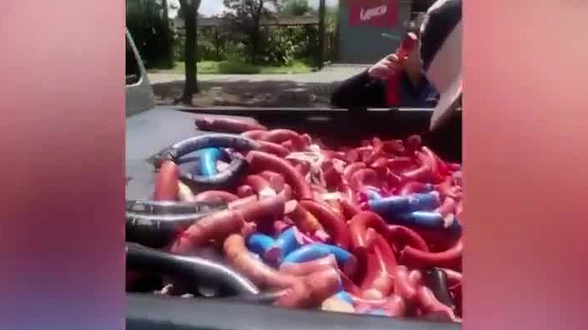 Decomisan 1400 kilos de alimentos cárnicos