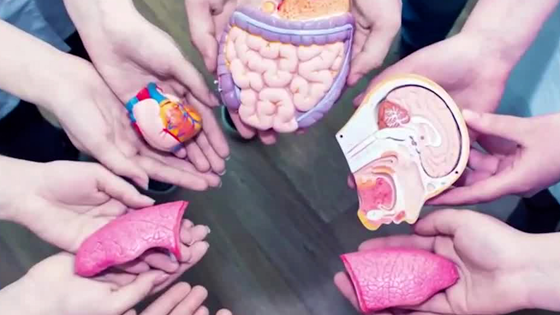 Donación de órganos podría ir en la cédula