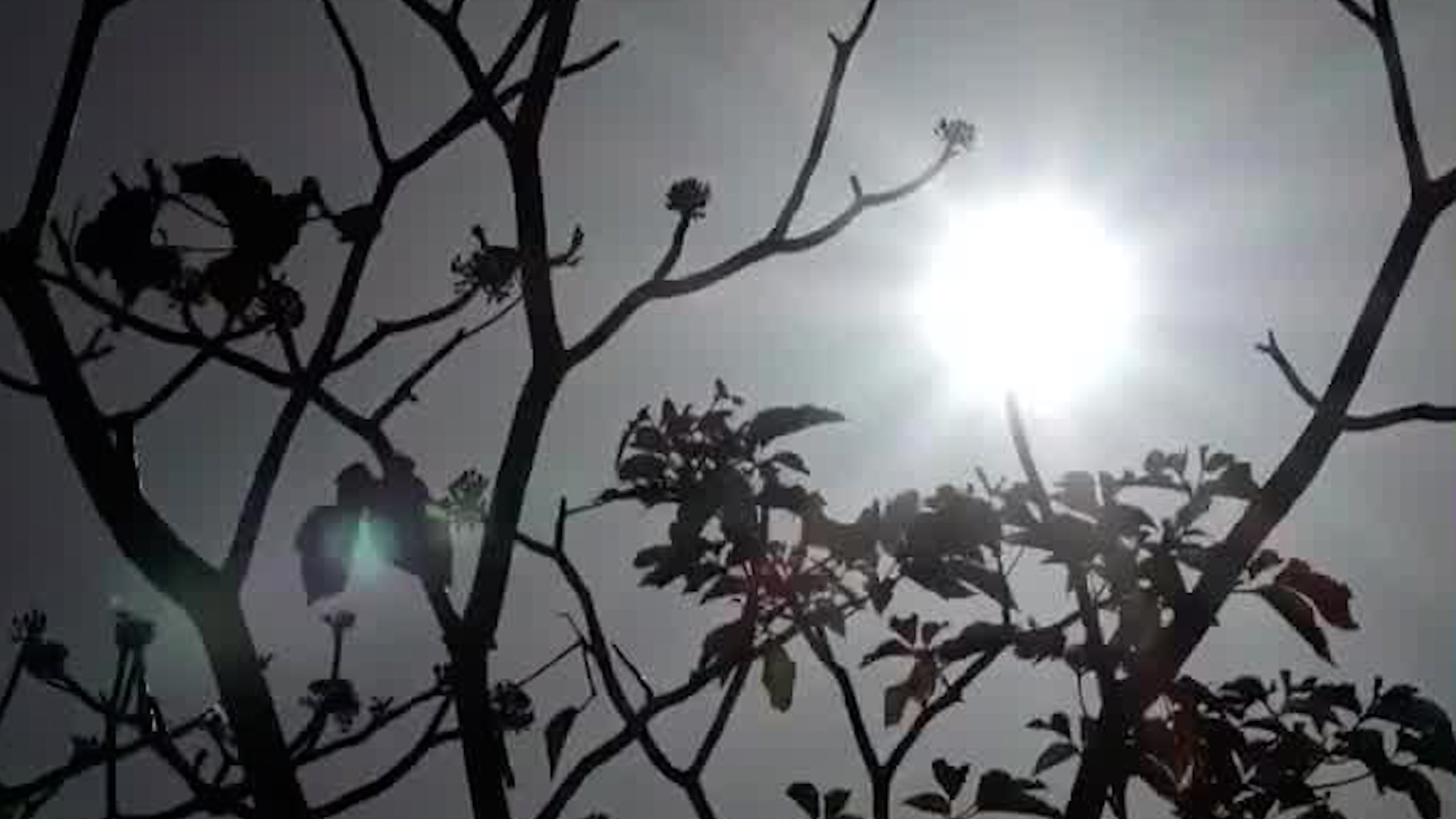 Radicación y temperaturas aumentarán este mes