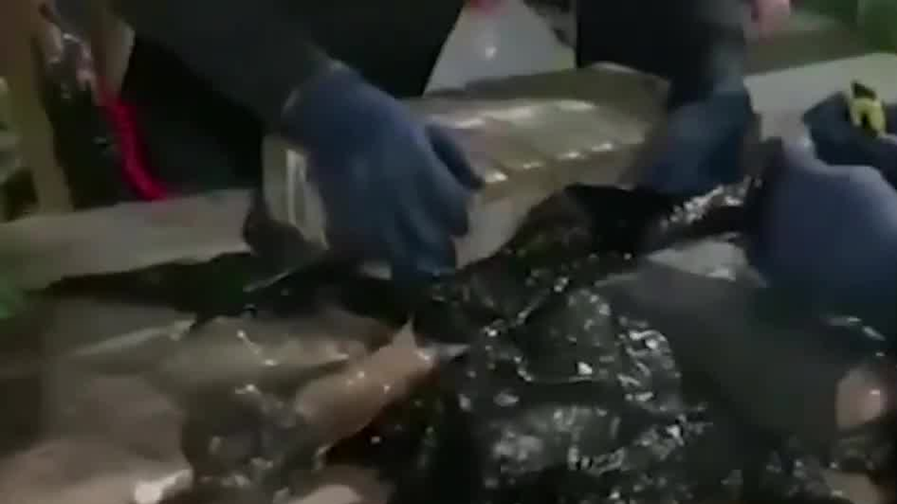 Aumentó la fabricación de cocaína