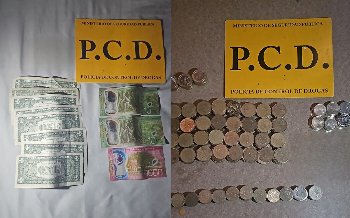 Decomisos realizados por la PCD. (MPS)