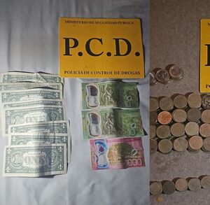 Decomisos realizados por la PCD. (MPS)