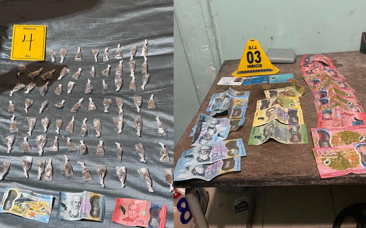 Evidencia decomisada por los agentes judiciales. (OIJ)