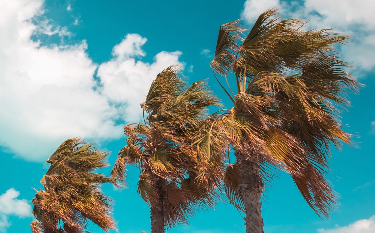 Vientos alisios acelerados marcarán el tiempo este miércoles, con altas temperaturas en varias regiones. (Freepik)