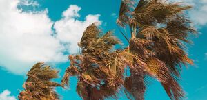 Vientos alisios acelerados marcarán el tiempo este miércoles, con altas temperaturas en varias regiones. (Freepik)