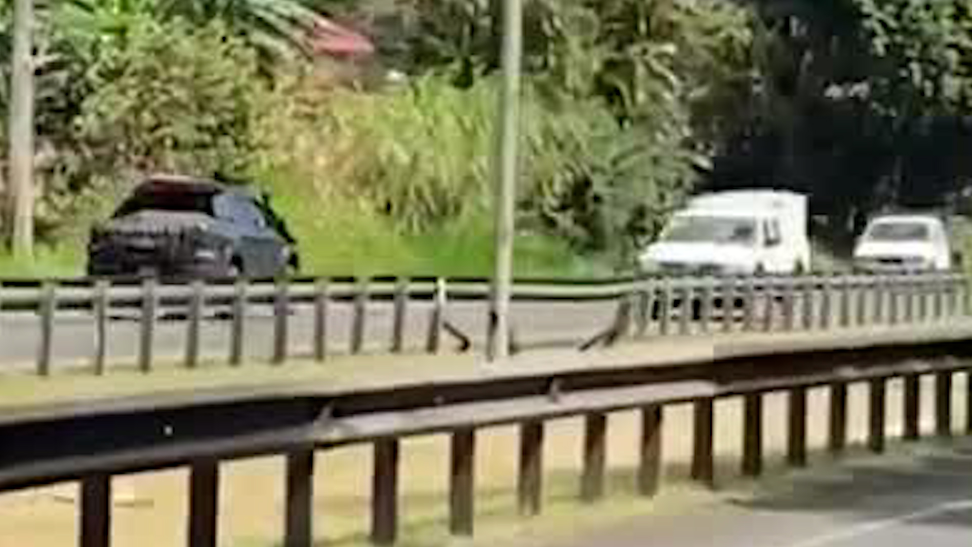 Imprudencias en Autopista Florencio del Castillo