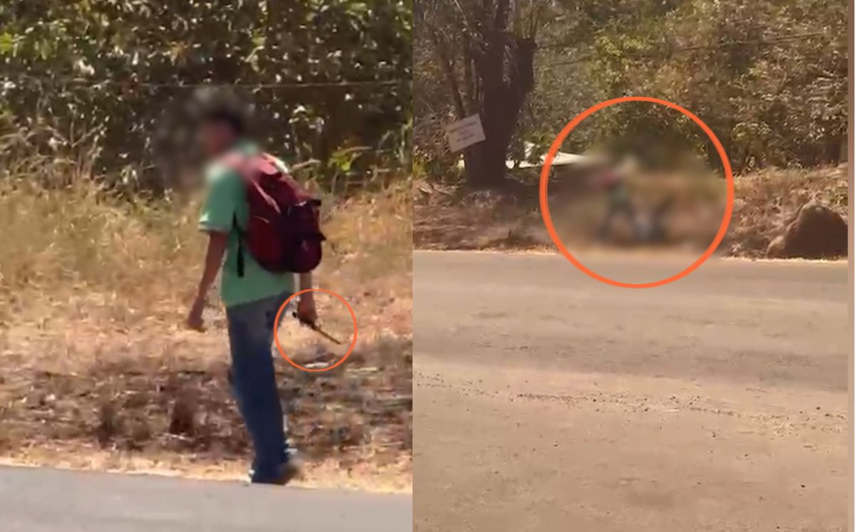 El momento del ataque quedó captado en un video.