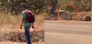 El momento del ataque quedó captado en un video.