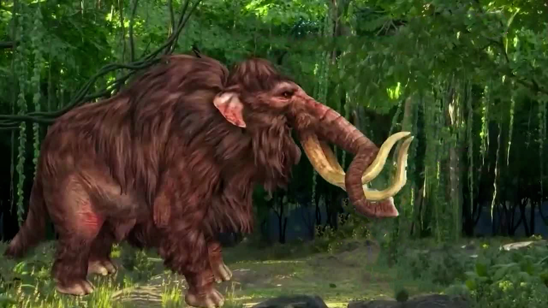 Animales murieron con mil años de diferencia