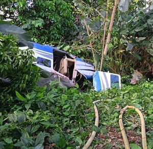 Avioneta en La Fortuna de San Carlos. (Cruz Roja)