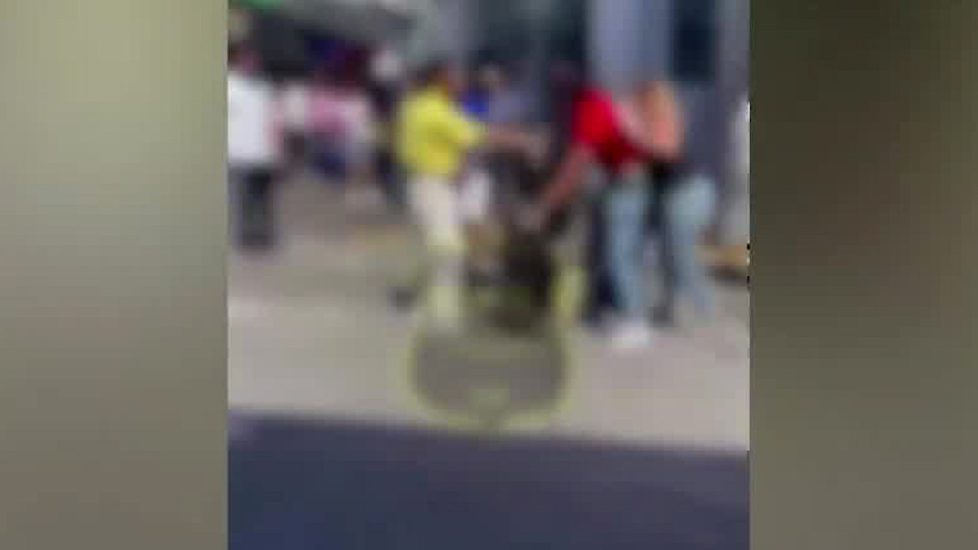Captan riña entre empleados de una tienda en San José | VIDEO
