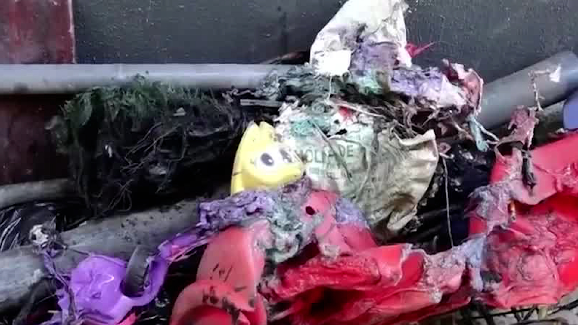 Incendio en Pavas: 45 personas afectadas