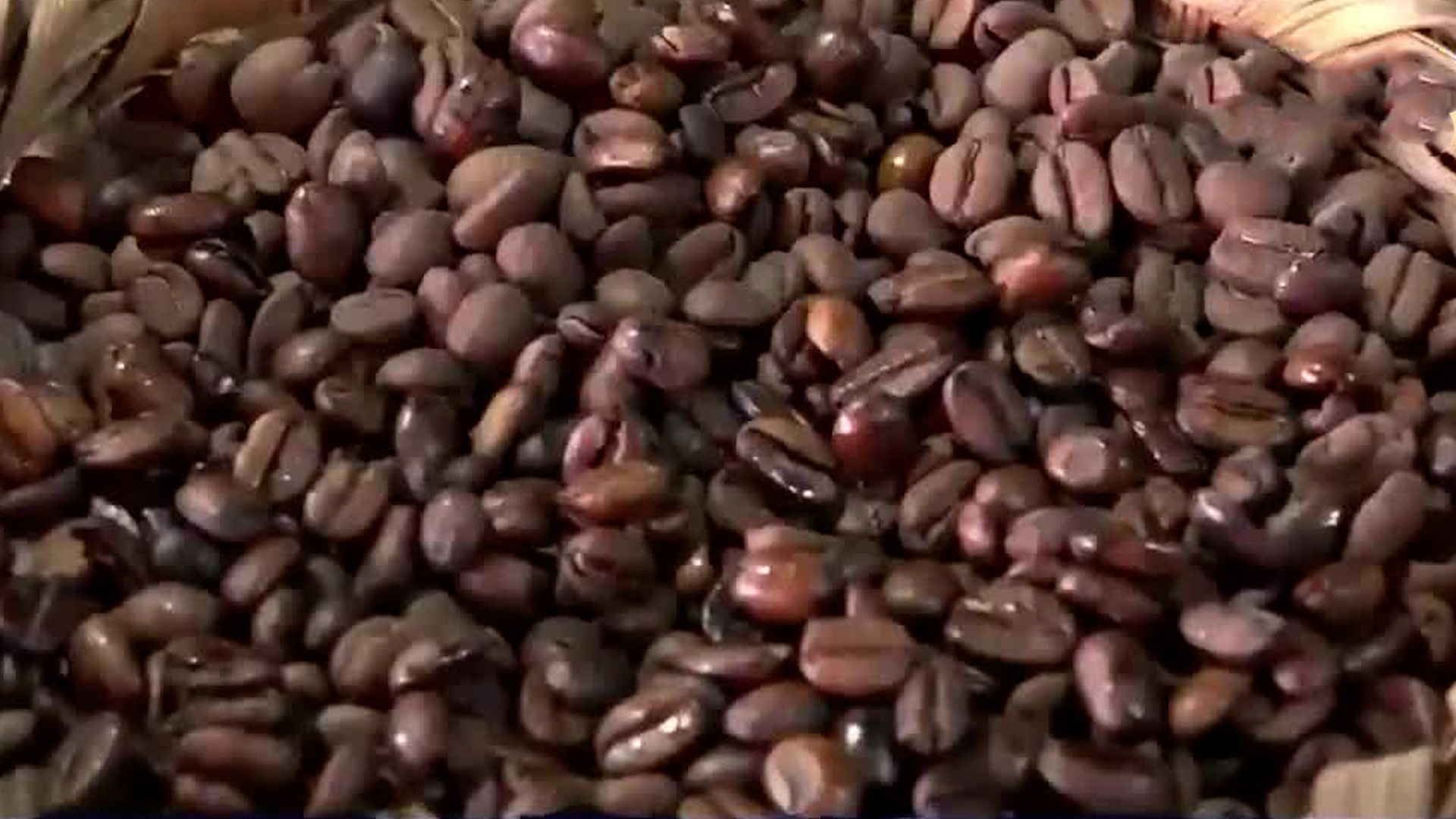 Precio del café aumenta