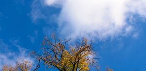 Ambiente cálido y vientos débiles marcarán este martes con posibilidad de lluvias aisladas. (Freepik)