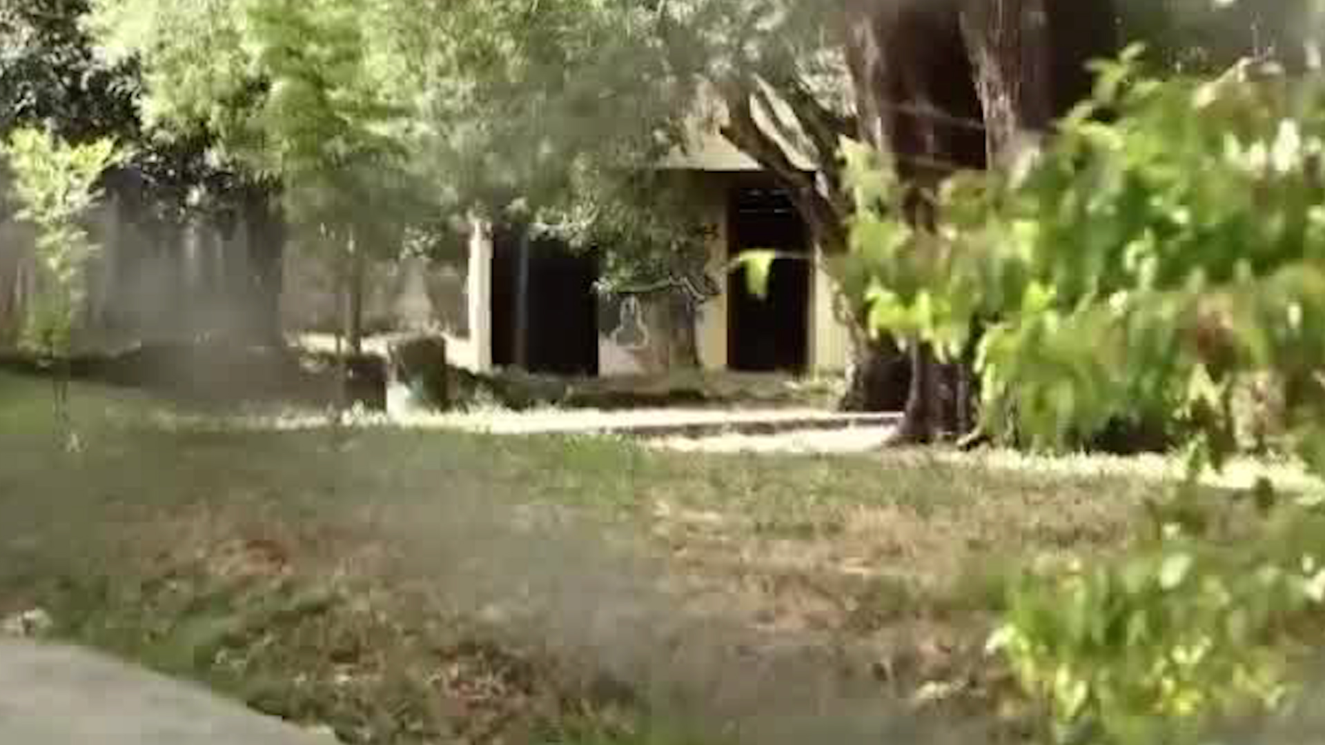 Camerinos convertidos en búnker en Desamparados