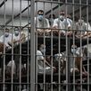 Reclusos de El Salvador dentro de las celdas. (AFP)