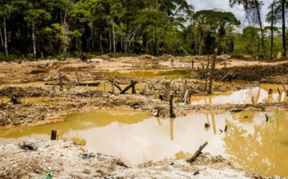 El recurso denunciaba la inacción frente a la actividad minera ilegal. (Imagen ilustrativa)